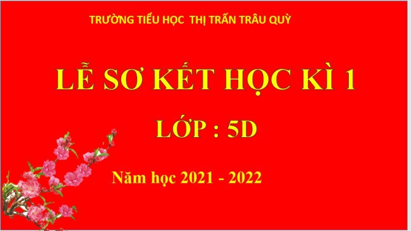 Lễ sơ kết cuối kì 1 lớp 5D